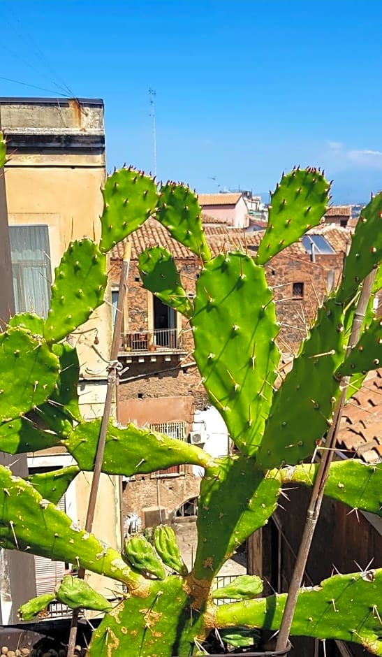 Fera O' Luni