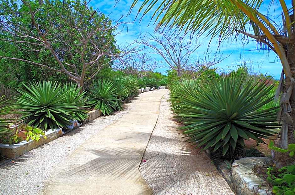 Kasha Boutique Hotel