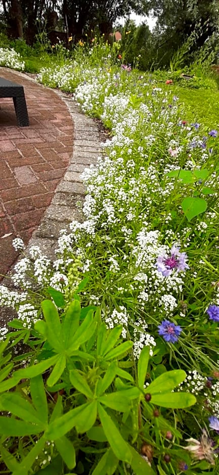 Het Bijenweitje - The Little Bee Meadow