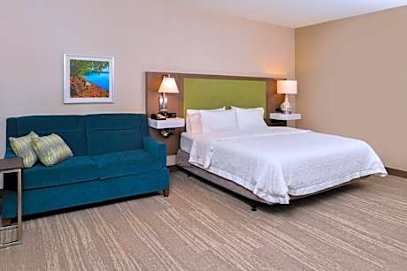 1 King Mobility/Hearing Acc Ri Shower Nosmok