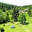 Schwarzwald-Hotel Kraeutle