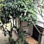 Double N Guest House