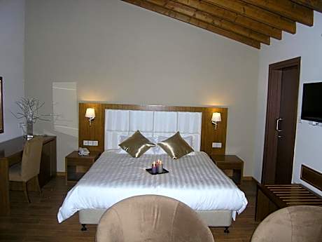 Suite with Fireplace