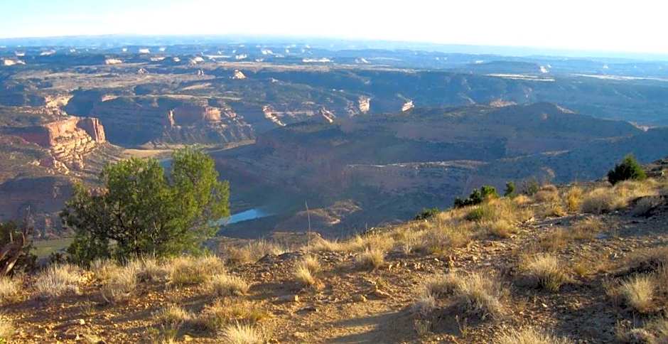 Super 8 by Wyndham Fruita