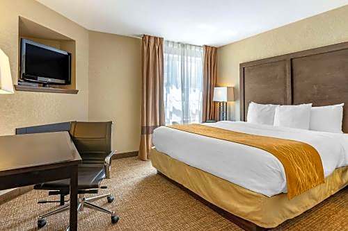 Comfort Inn & Suites Allen Park - Dearborn