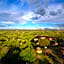 Seronera Wildlife Lodge