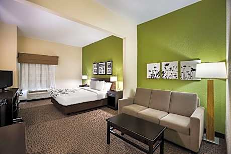 1 King Bed, Suite, Nonsmoking