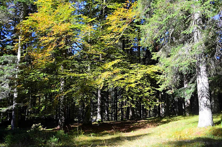 Hotel Garnì Sant'Antonio con Spa