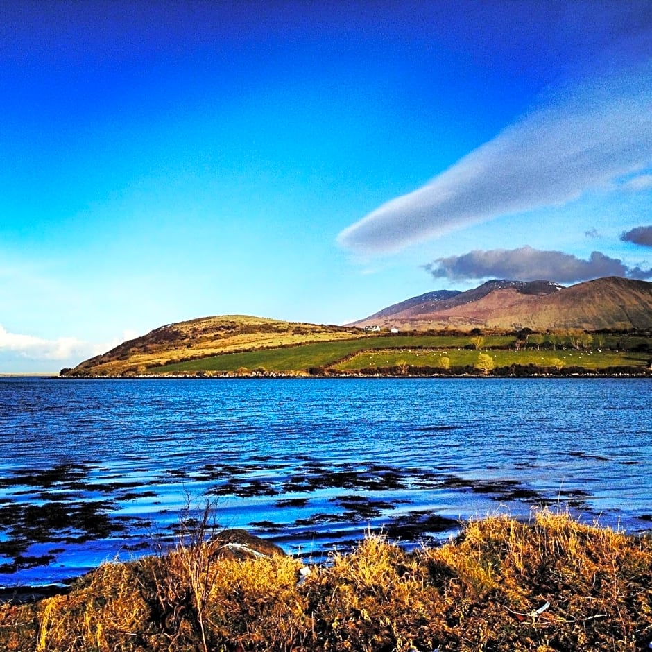 O'Connors Guesthouse