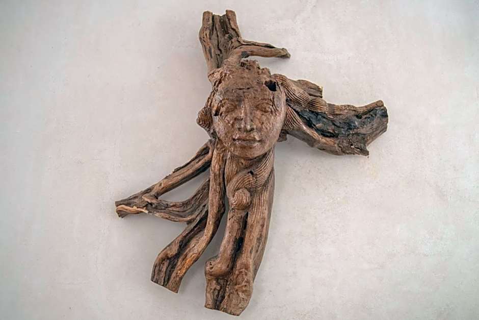 Pure Baja Private Suites-Upscale Property with Infinity Pool and Lush Gardens