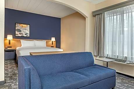 King Room with Sofa Bed and Kitchenette - Limited View