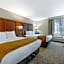 Comfort Inn South - Springfield