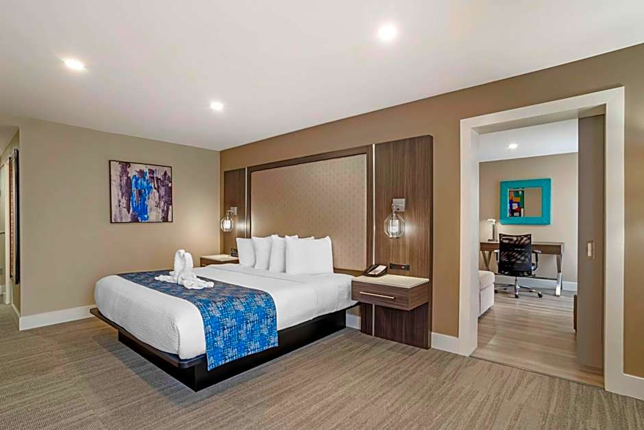 Best Western Plus Greenville I-385 Inn & Suites