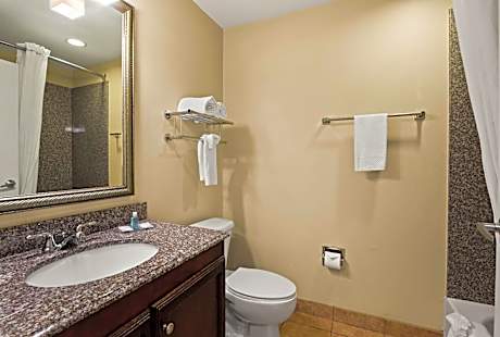 1 Queen Bed, Efficiency, Suite, Nonsmoking