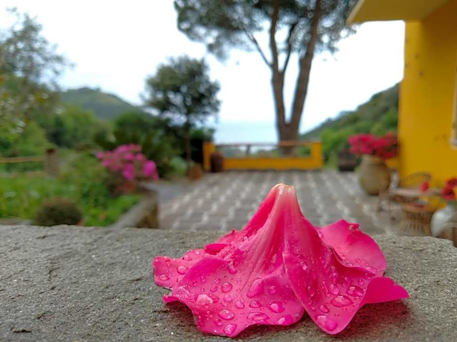 Agriturismo Costa di Campo