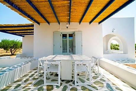 Aegean Villa in Paros