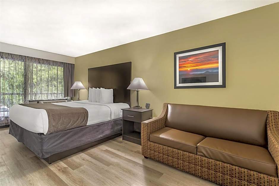Best Western Asheville -Blue Ridge Parkway