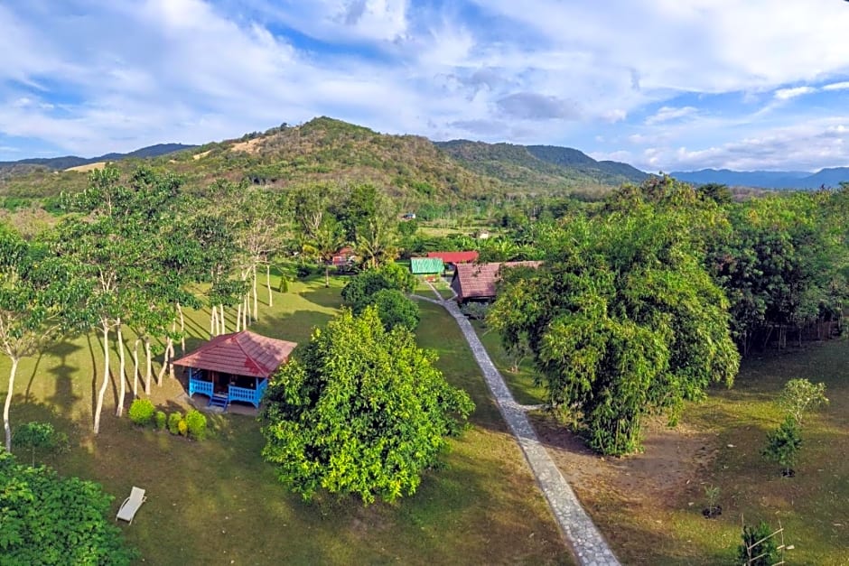 4 Pohon - Les 4 Arbres