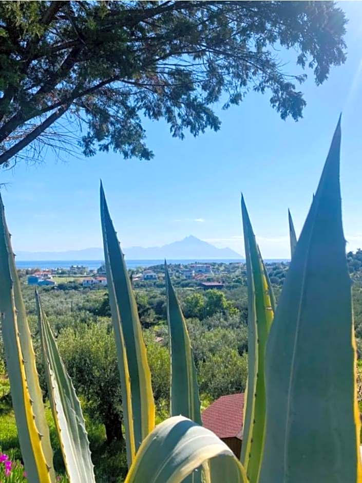 Sartivista Bed & Breakfast