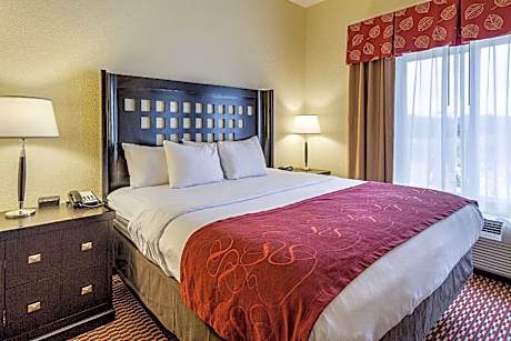 1 King Bed, Suite, Nonsmoking