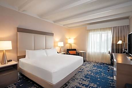 1 King Bed Standard