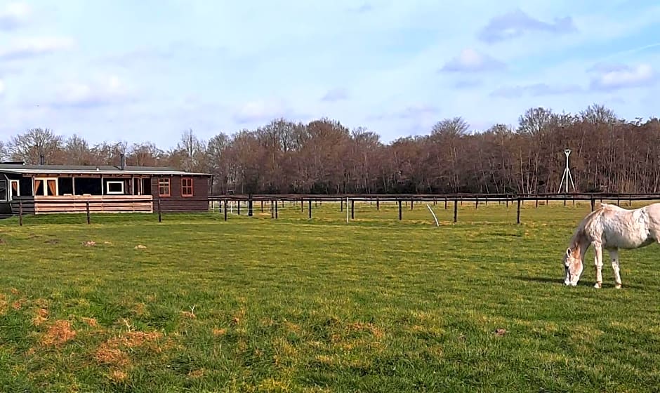 Unieke vriendenkamer met bedstedes tot 11 personen en 2 rustig gelegen chalets 2 en 4 persoons te huur!