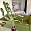 Sato Design Hotel