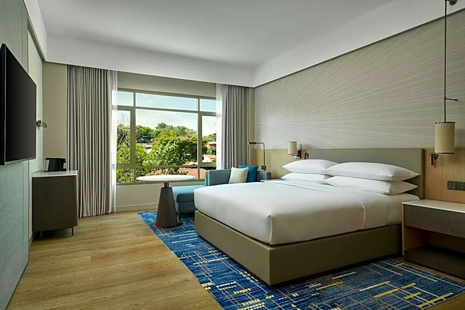 Photo 1 of 6 of Deluxe 1 King Bed, City View