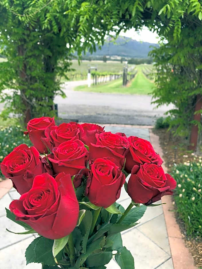 Nightingale Wines Luxury Villas