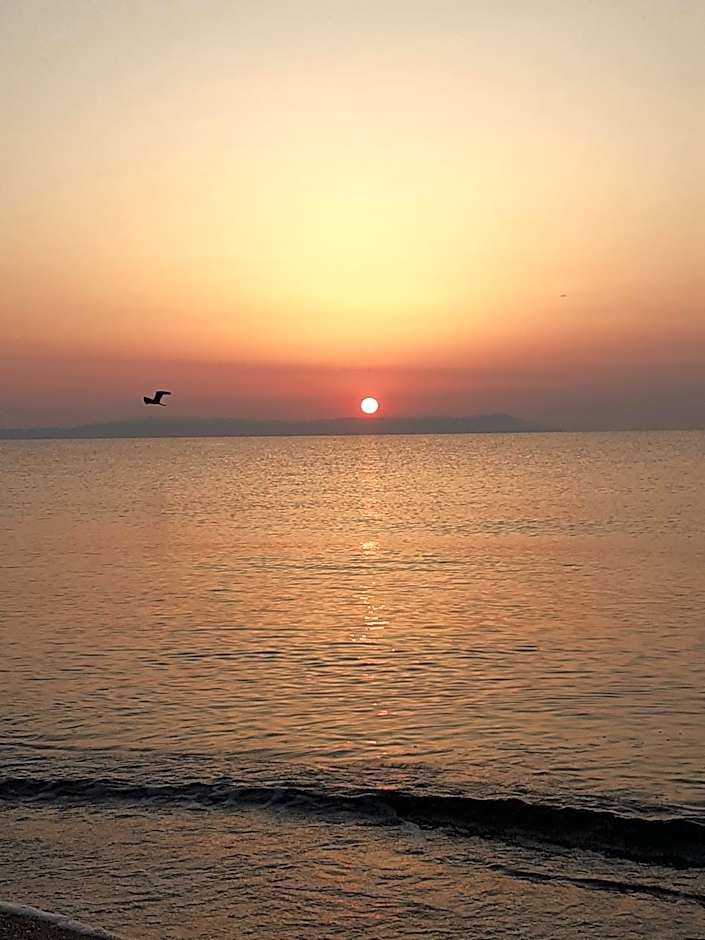 Amaranti Luxury Apartments