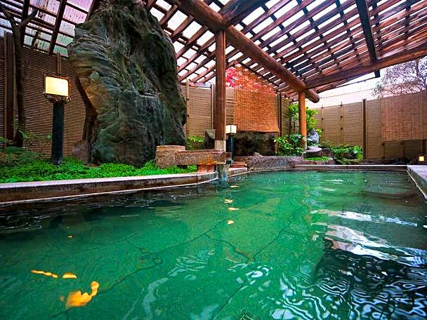 Tsukioka Onsen Hisagoso