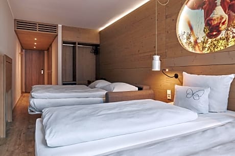 Triple Room (Chill-Out-Alm)