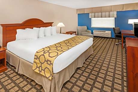1 King Bed, Non-Smoking