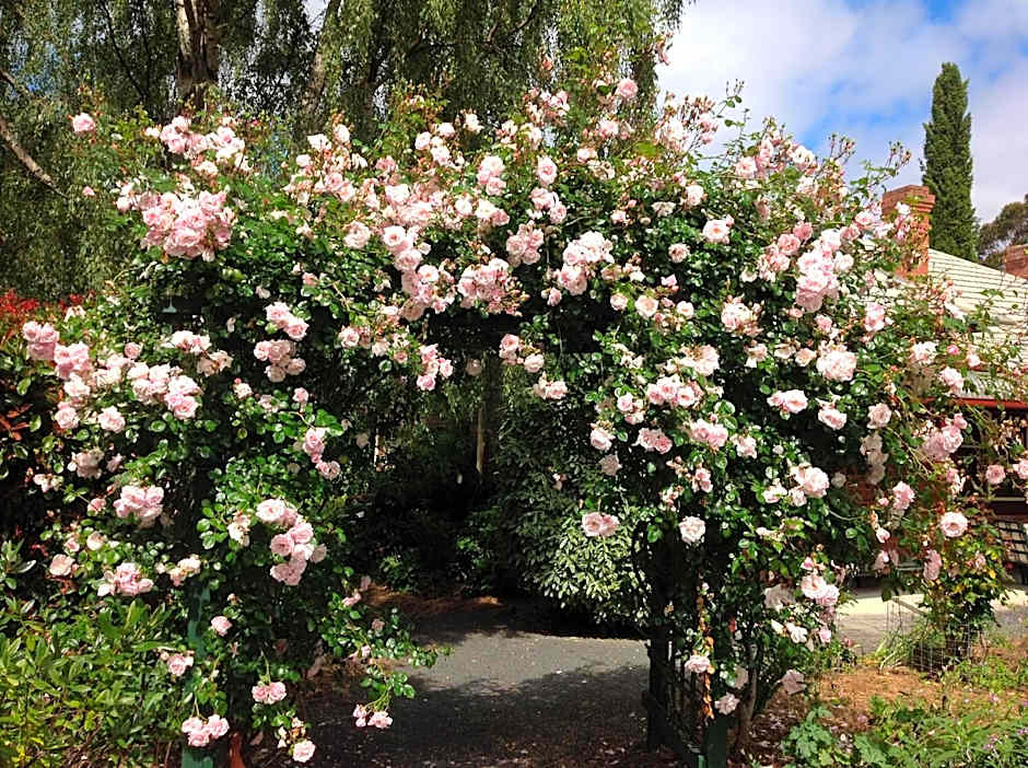 Donalea Bed & Breakfast