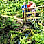 Aberdunant Hall Holiday Park, Snowdonia