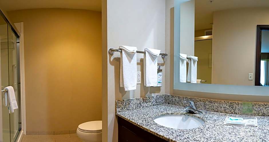 Holiday Inn Murfreesboro/Nashville By IHG