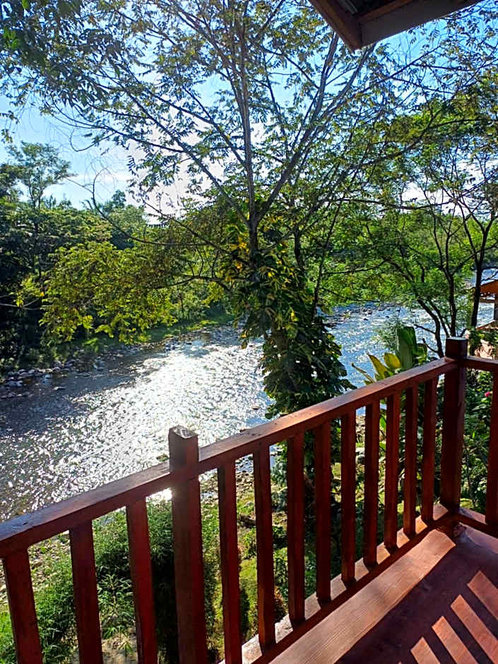 Asim Paris Guesthouse & jungle trekking