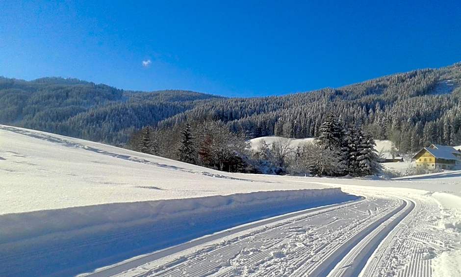 Hotel - Restaurant Gosauerhof