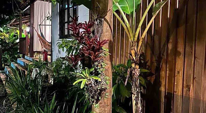 Planeta Banana Paraty