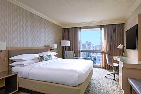 1 Bedroom Suite, 1 King, Sofa bed
