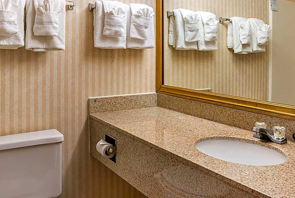 Quality Inn And Suites Romulus