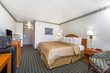 King Room with Roll-in Shower - Mobility Access/Non-Smoking