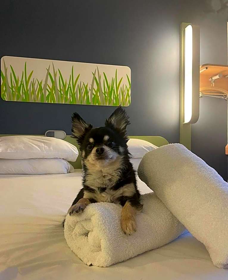 ibis budget Belfast City Centre