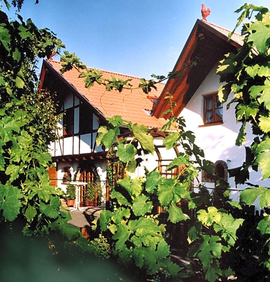 Weingut Magdalenenhof