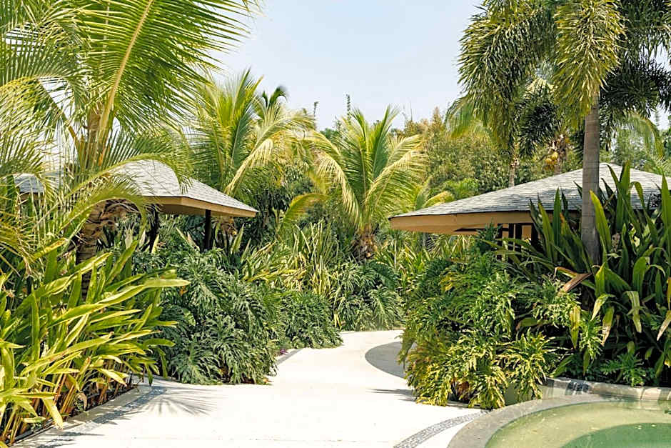 Soul Spring Sanctuary Cuernavaca