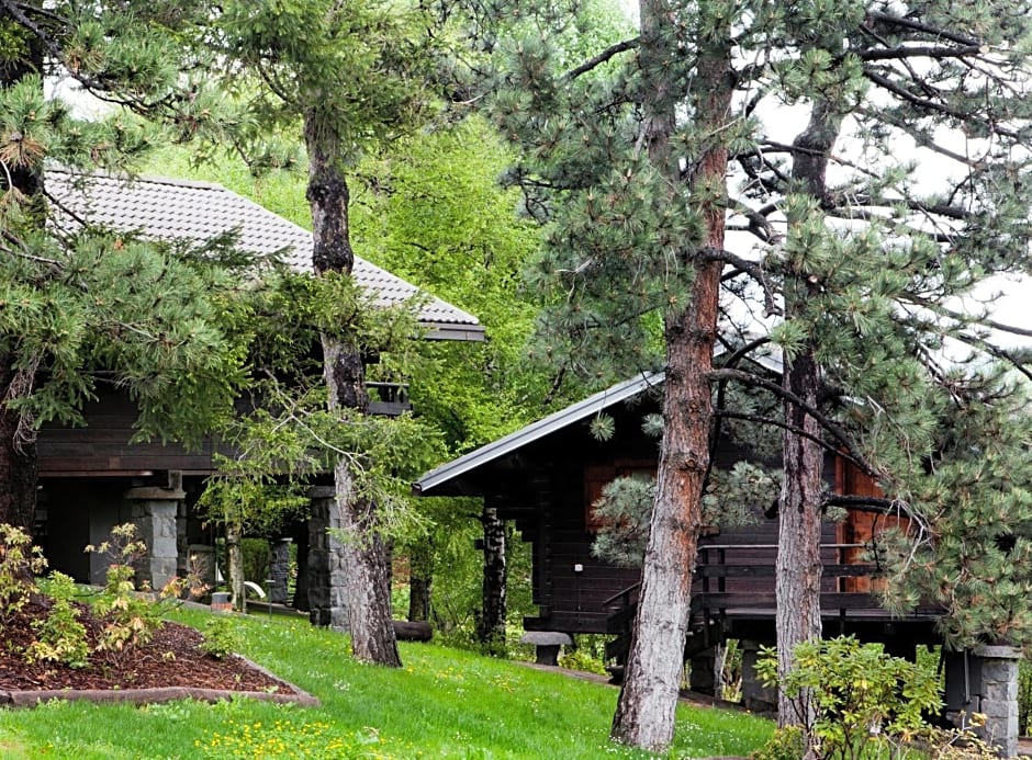 Hotel Village
