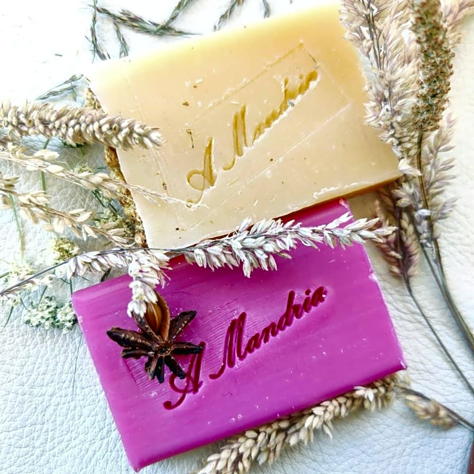 Chambres d'hôtes et studios de charme - A Mandria