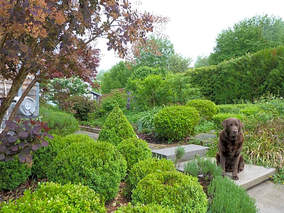 B&B Les Hauts d'Ornans