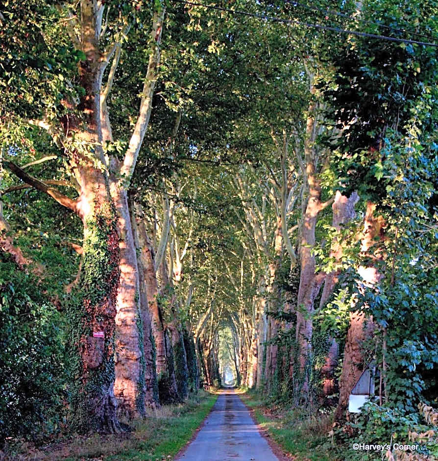Chateau le Quesnoy