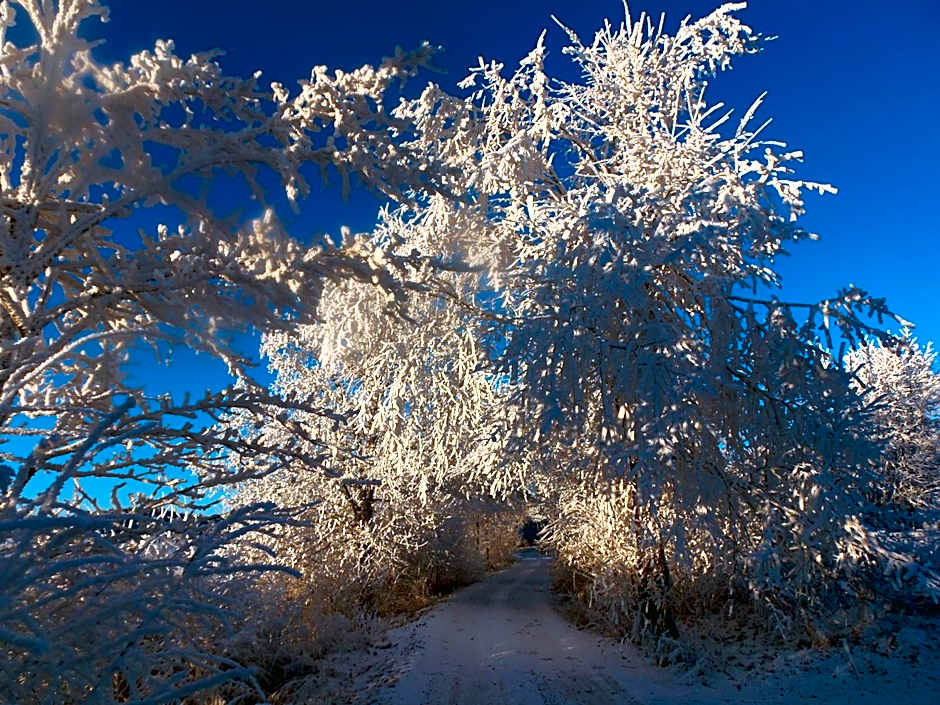 Hotel Stará škola na Šumavě